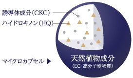 ナノテクノロジーにより、刺激性・安全性を劇的に改善