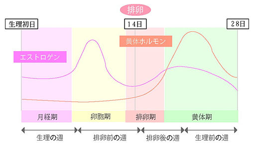 ホルモンバランス