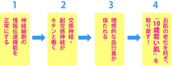 10歳若い肌を取り戻すメカニズム